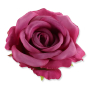 50620 lilac