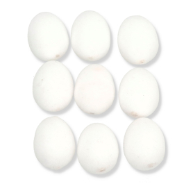 333 white