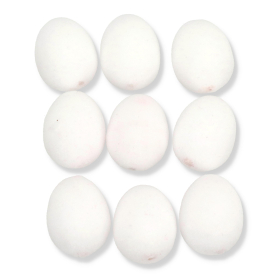 333 l pink