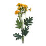 62297_1