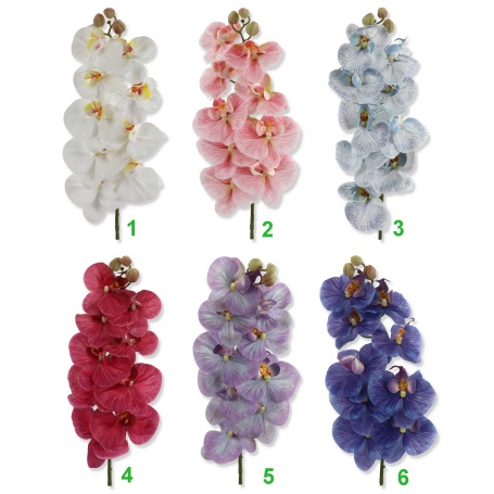62298