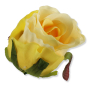 52388 lemon