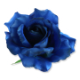 52510 dk blue