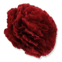 62237 cherry