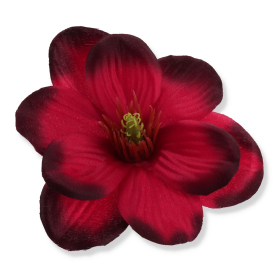 57931 cherry