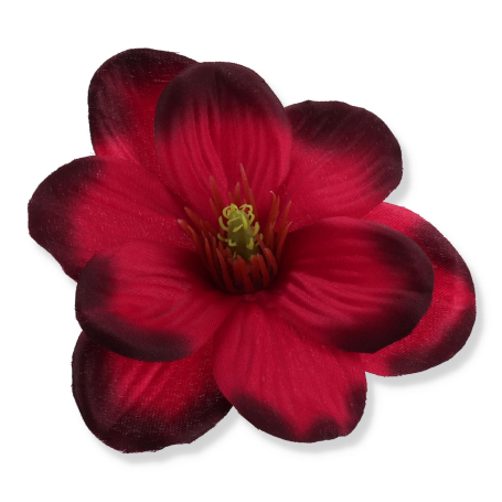 57931 cherry