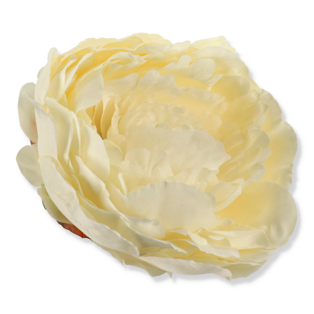 62236 cream