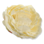 62236 cream
