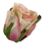 52388 ivory pink