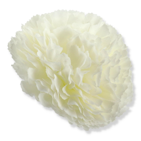 62237 cream