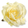 52327 cream yellow