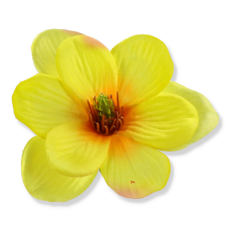 57931 yellow