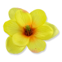57931 yellow
