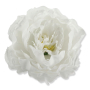 60545 white