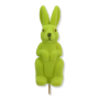 785 l.green