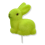 701 l.green