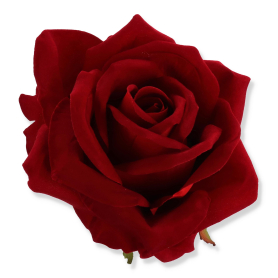 62631 red