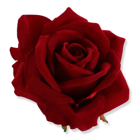 62631 red