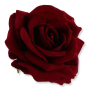 62631 dr.red