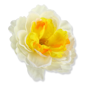 51449 lemon peach
