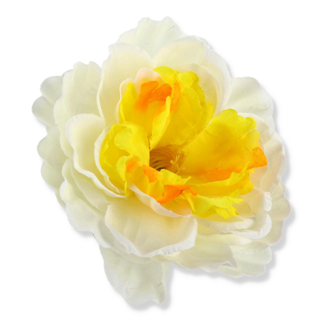 51449 lemon peach