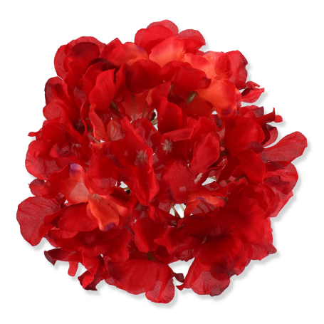 55658 red