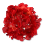 55658 red
