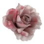 58634 aut lilac pink
