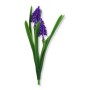 27855_1