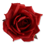 62365 red