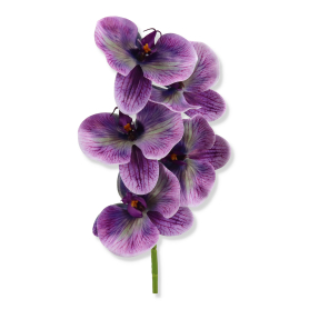 62374 ultra violet