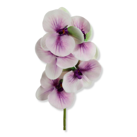 62374 lt violet