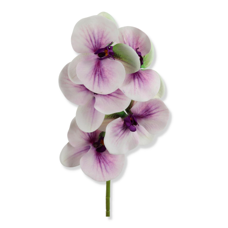 62374 lt violet