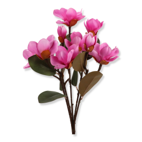 Bukiet Magnolii ERA1039