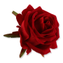 62647 red