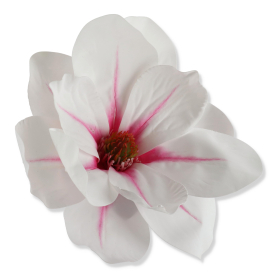 60243 white pink