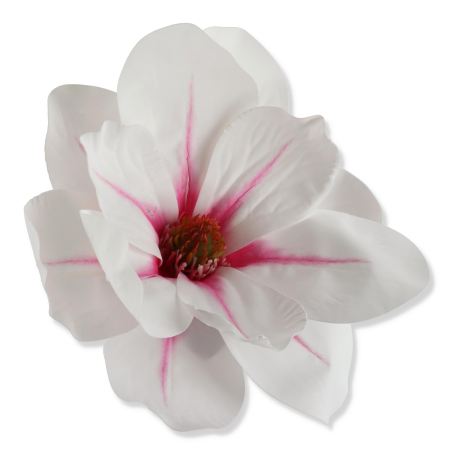 60243 white pink