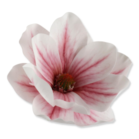 60243 lt pink