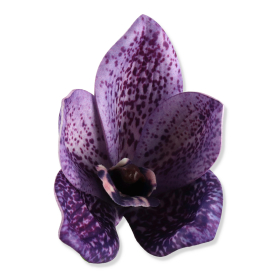 61406 ultra violet