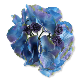 55659 dk blue