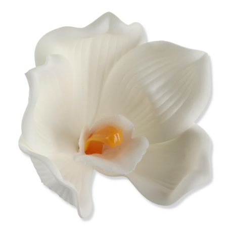 61406 white