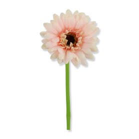 Gerbera gałazka pojedyncza ASC27753