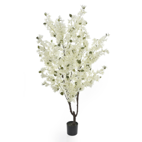 68126 white