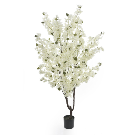 68126 white
