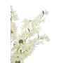 68126 white_2