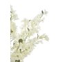 68126 white_2