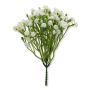 62676 white