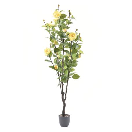 Drzewo róży w doniczce TREE047