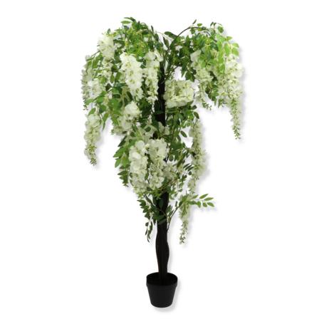 Wisteria w donicy 120 cm WIS-120 MD