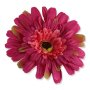59370 beauty pink